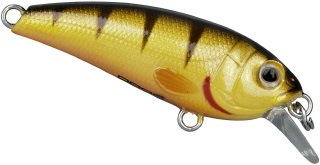 0001_Spro_Chibi_Shad_40_SL_[Yellow_Perch].jpg